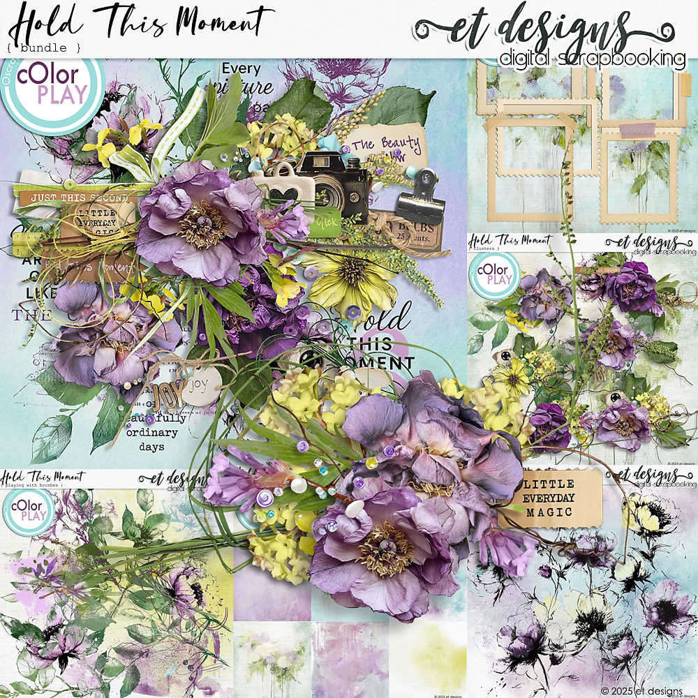 etd holdthismoment bundle o